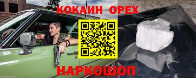 a pvp Краснознаменск