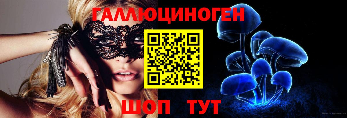 A PVP Ефремов