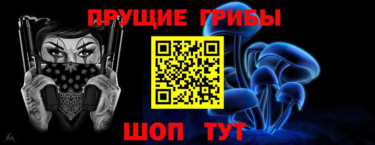 Галлюциногенные грибы MAGIC MUSHROOMS  Вход с VPN  Ефремов 